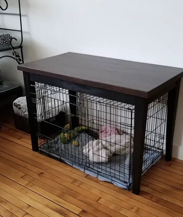 table top with wired dog crate