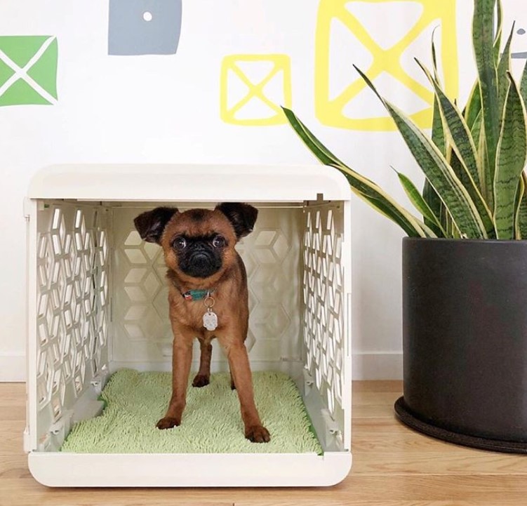 white plastic dog crate