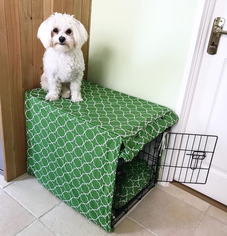 wired dog crate with fabric cover and a dog sitting on top of it