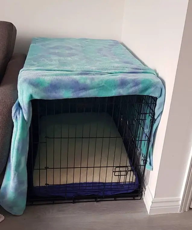 wire dog crate beside the couch