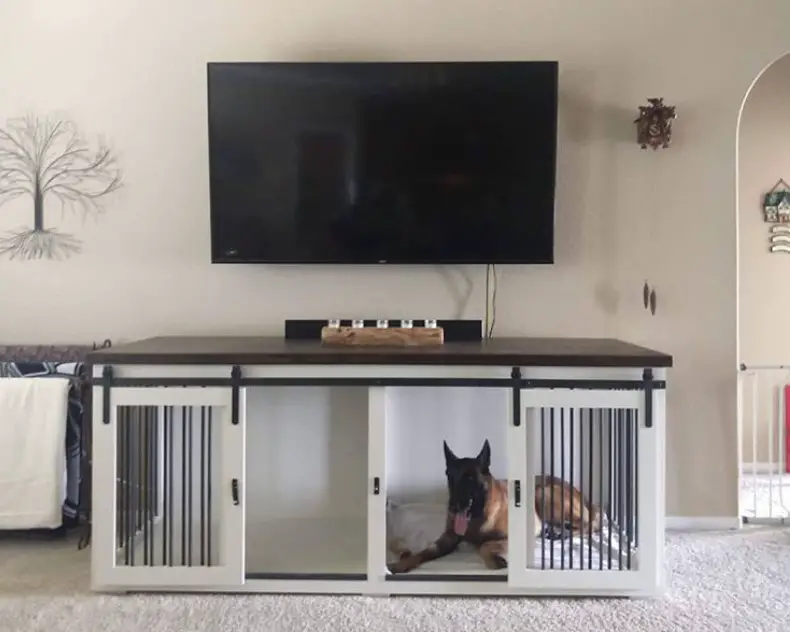 wooden dog crate with two doors indoors below the tv