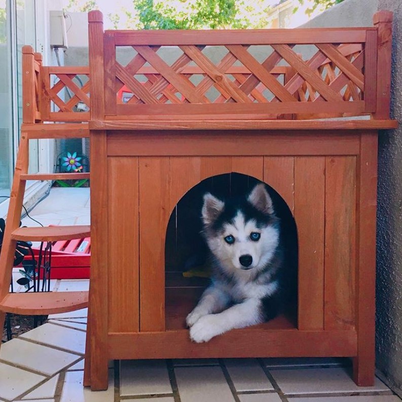 A wooden Dog House with a Husky puppy inside