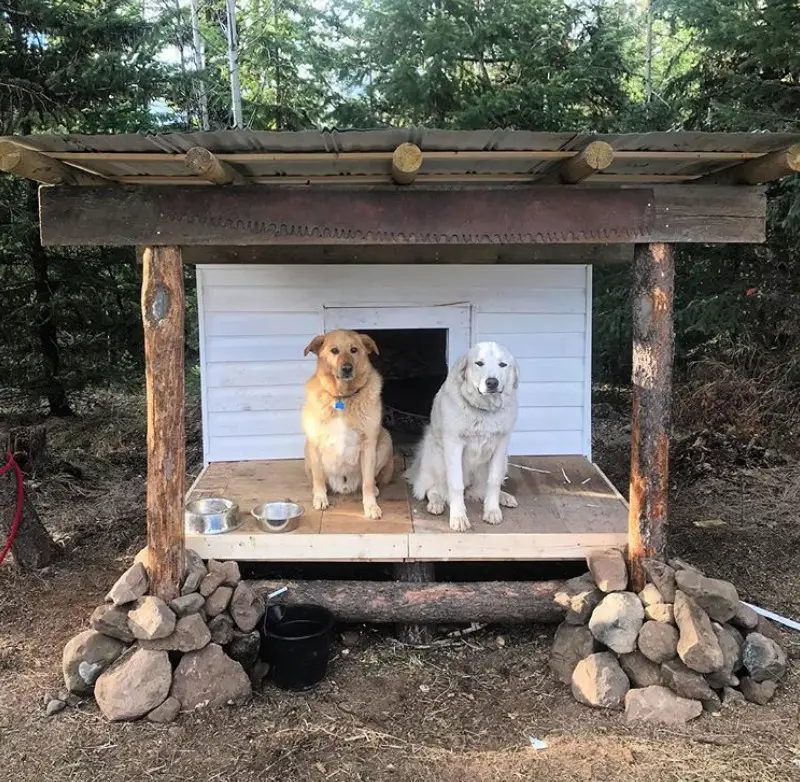 A Dog House made of wood