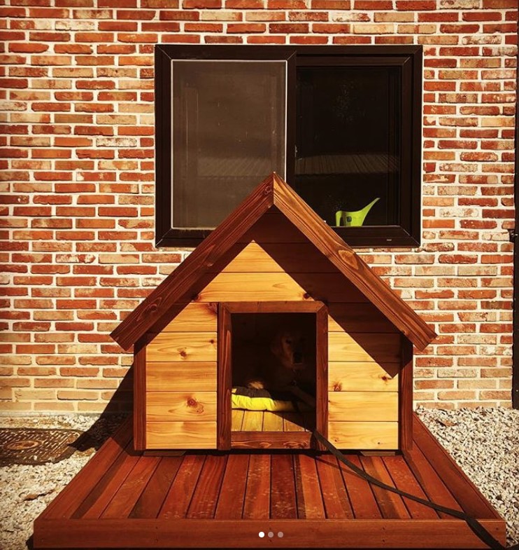 A wooden dog house under the sun