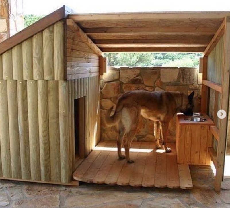 A modern dog house made of wood while a German Shepherd is drinking water from its elevated bowl