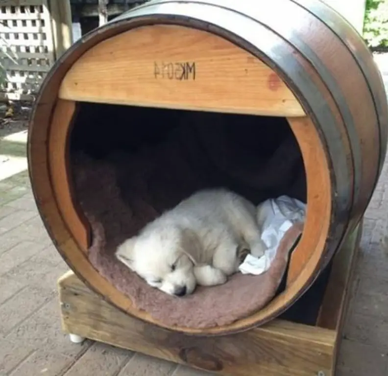 A barrel dog house with a puppy lying inside