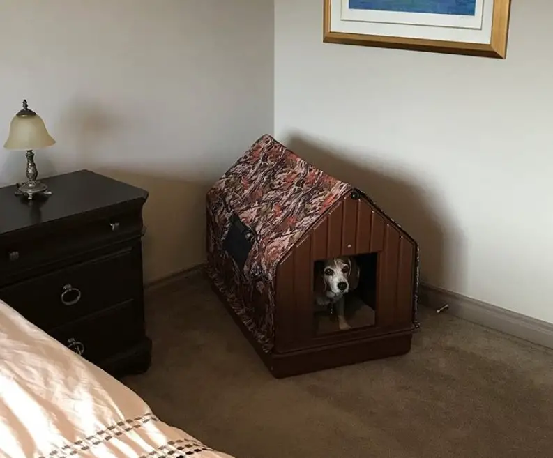 A small wooden dog house in the bedroom