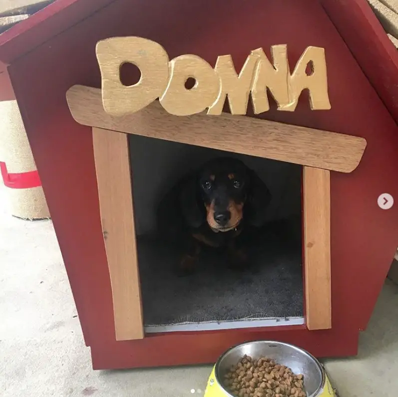 A modern red dog house with a Dachshund inside