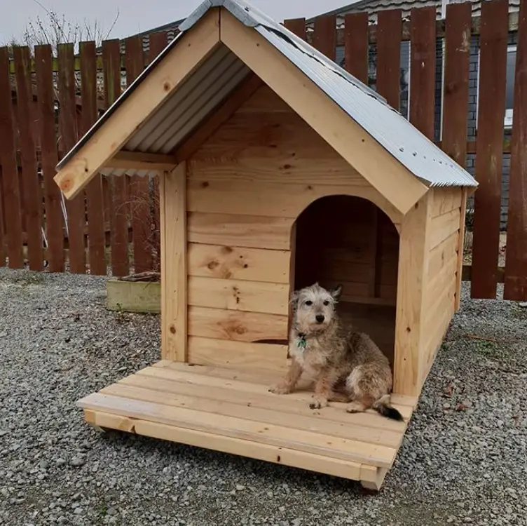 A wooden dog house with a Schnauzer sitting inside