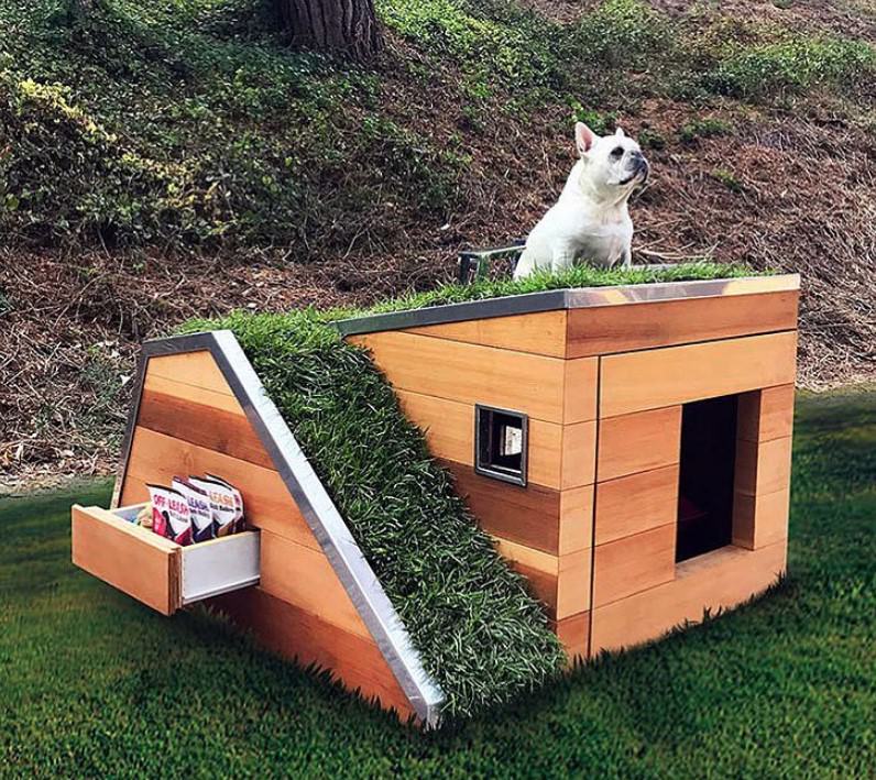 A modern dog house made of wood and stainless steel and with a french bulldog sitting on top