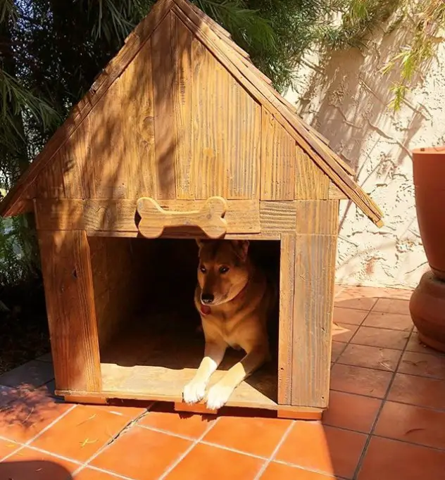 A wooden dog house with a dog lying inside