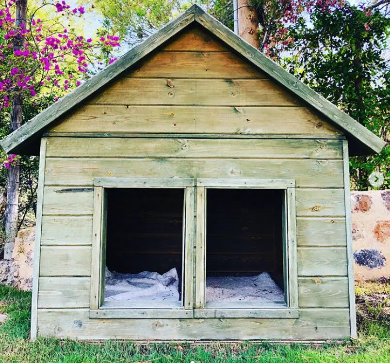 A wooden dog house for two days