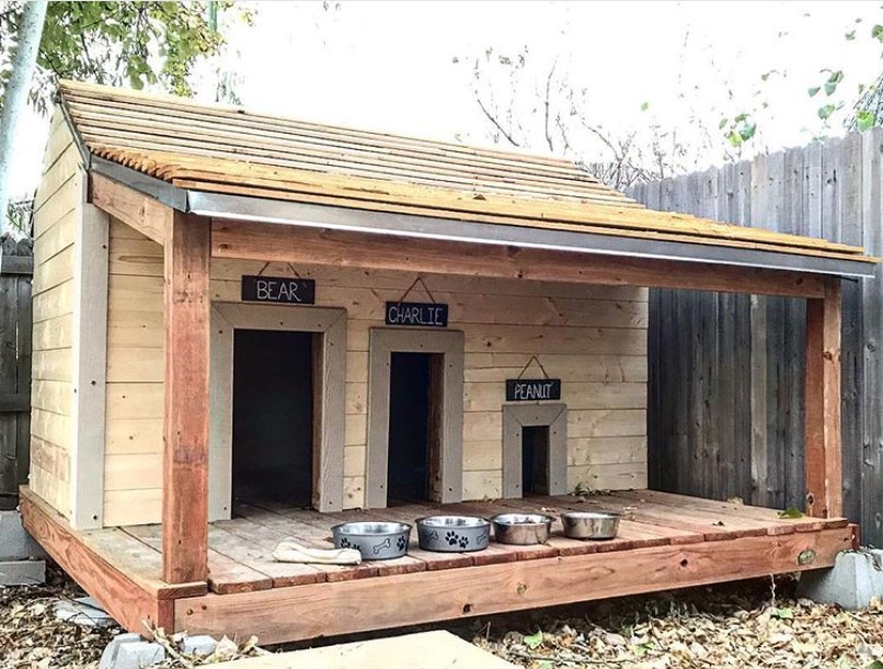 large modern dog house for three dogs