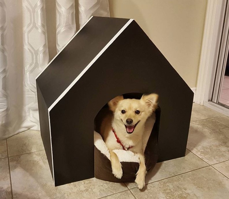 A simple dog house with a dog lying inside