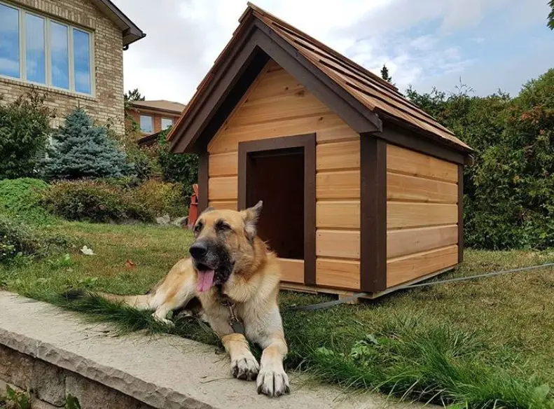 A large modern dog house good for the German Shepherd lying on the grass in front of it