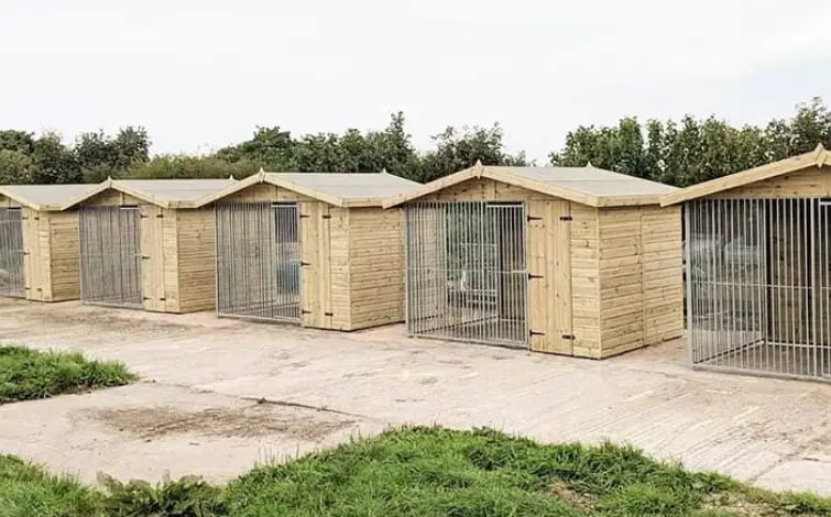 individual medium sized dog kennel outdoors made of wood