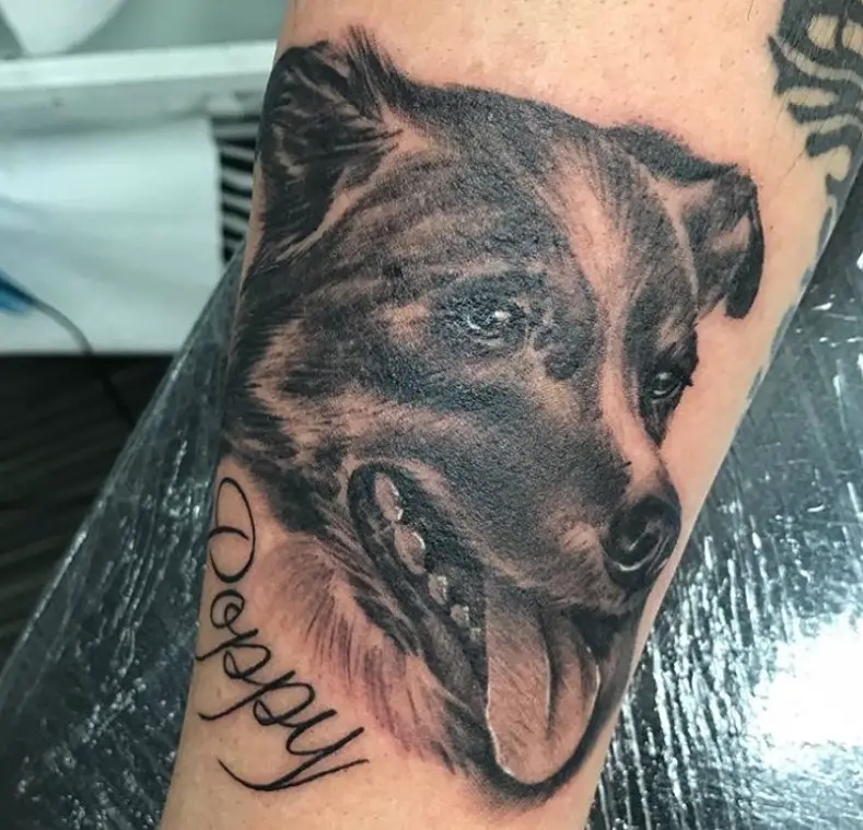 face dog with its tongue sticking out and name tattoo