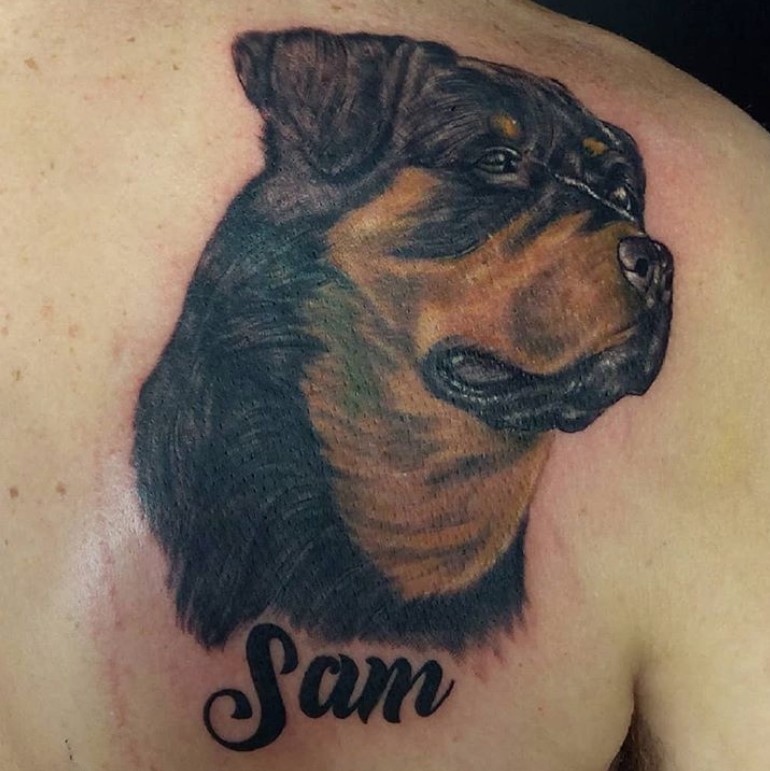 face of a dog and a 
