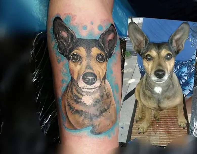 3D dog tattoo on forearm