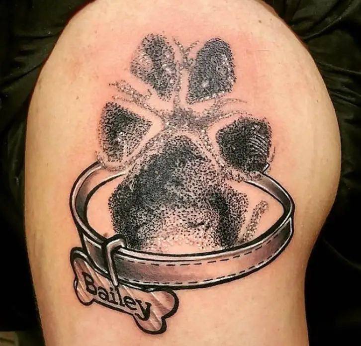 paw print with dog collar and bone shaped 