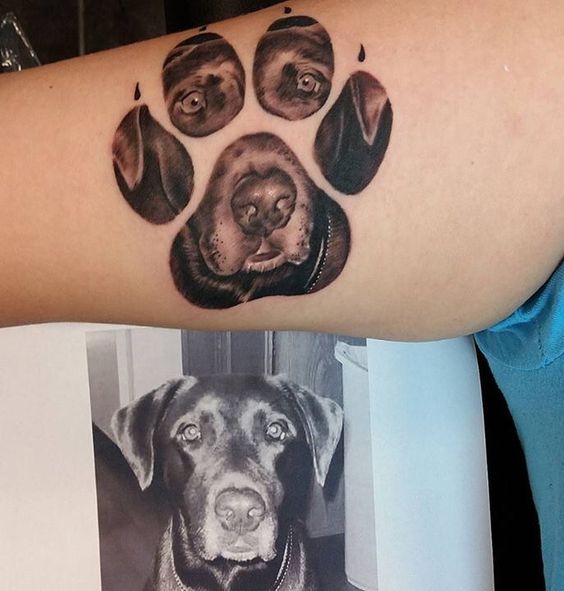 dog face in paw print tattoo on biceps