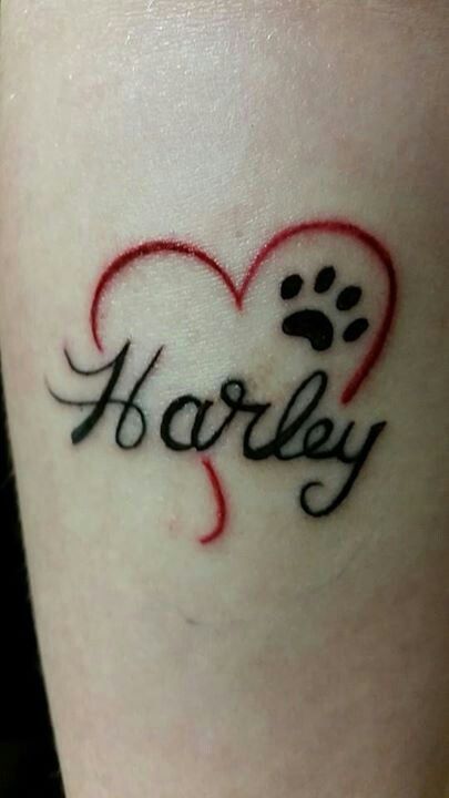 20 Best Dog Name Tattoo Designs - The Paws 20 Best Dog Name Tattoo Designs - The Paws