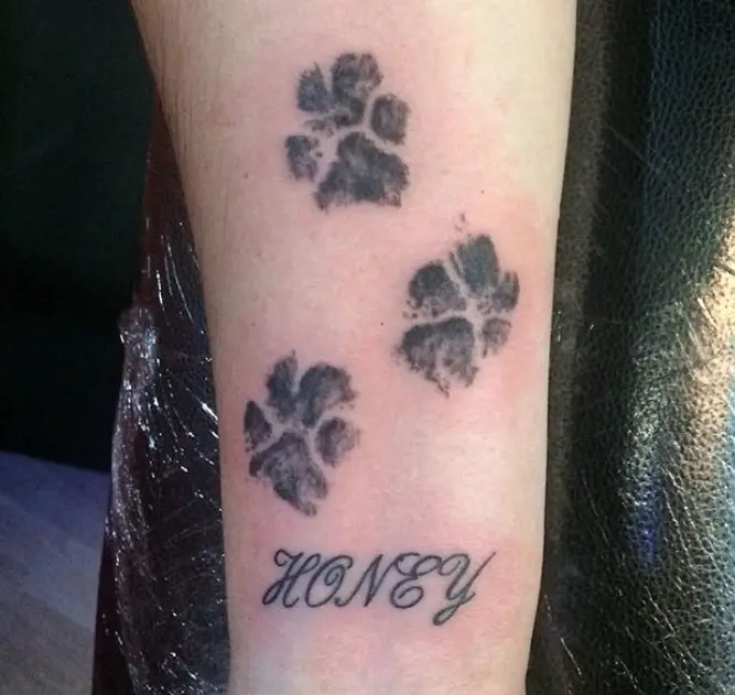 3D three paw prints with 