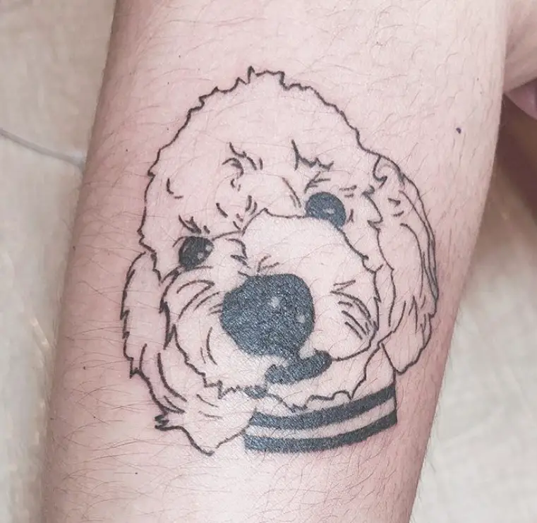 outline face of a Bichon Frise tattoo on the leg