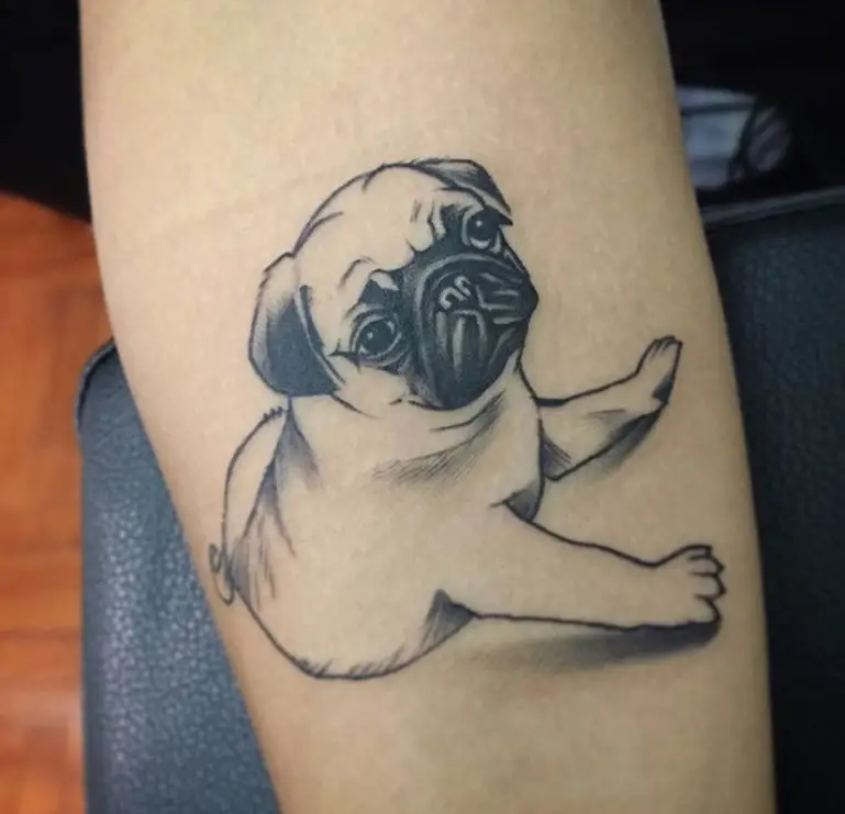 3D pug tattoo on the forearm