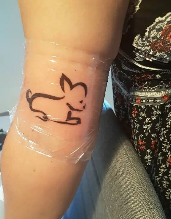 outline of a lying down Chihuahua fresh tattoo on the biceps of a woman