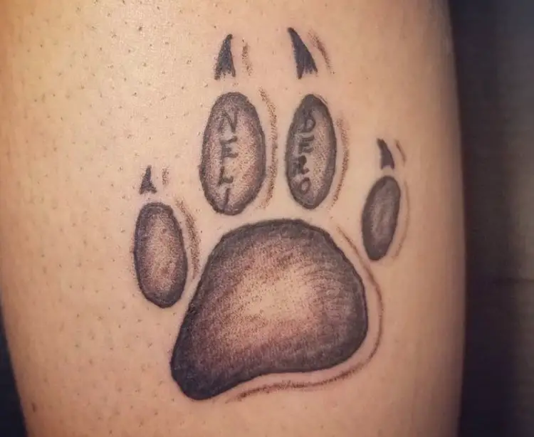 paw print with name tattoo