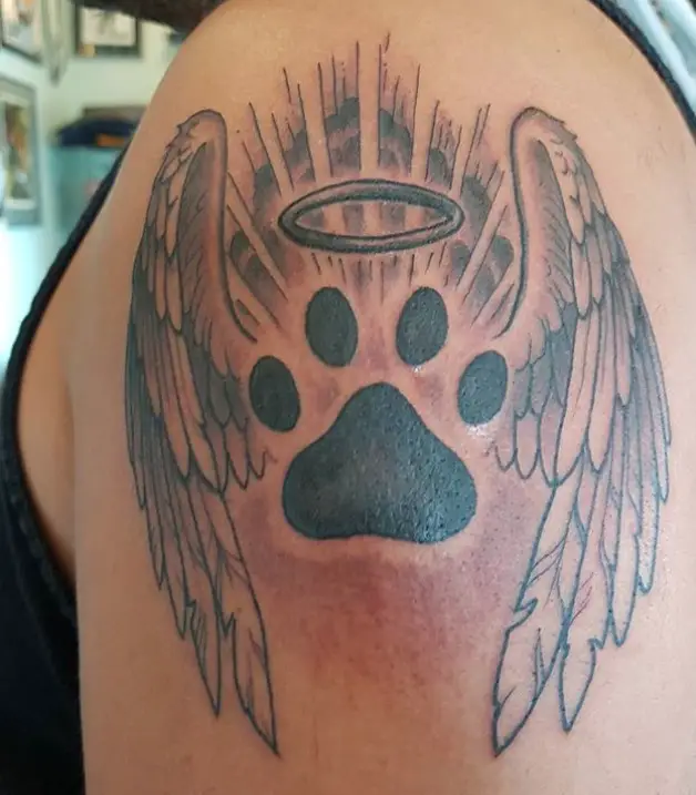 paw print with angel wings and halo tattoo on the shoulder