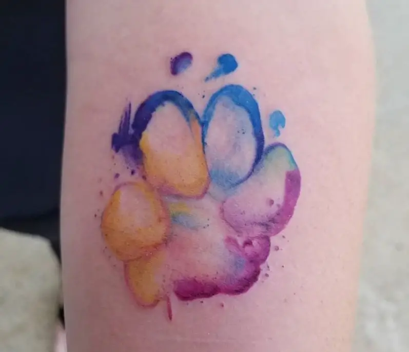 watercolor paw print tattoo