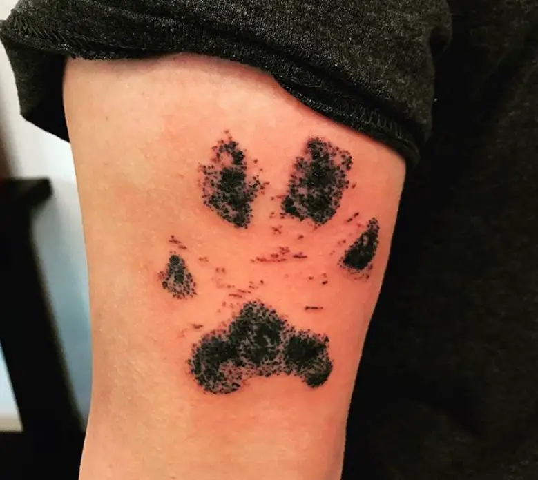 black paw print tattoo