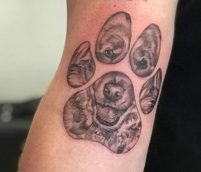 face of a dog in a paw print tattoo