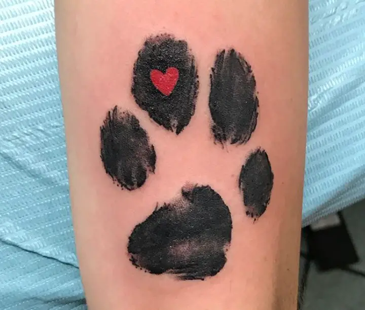 black paw print with a red heart tattoo