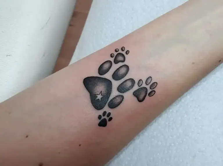 Big and small paw print tattoo on forearm