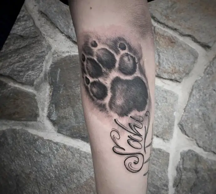 3D paw print with 