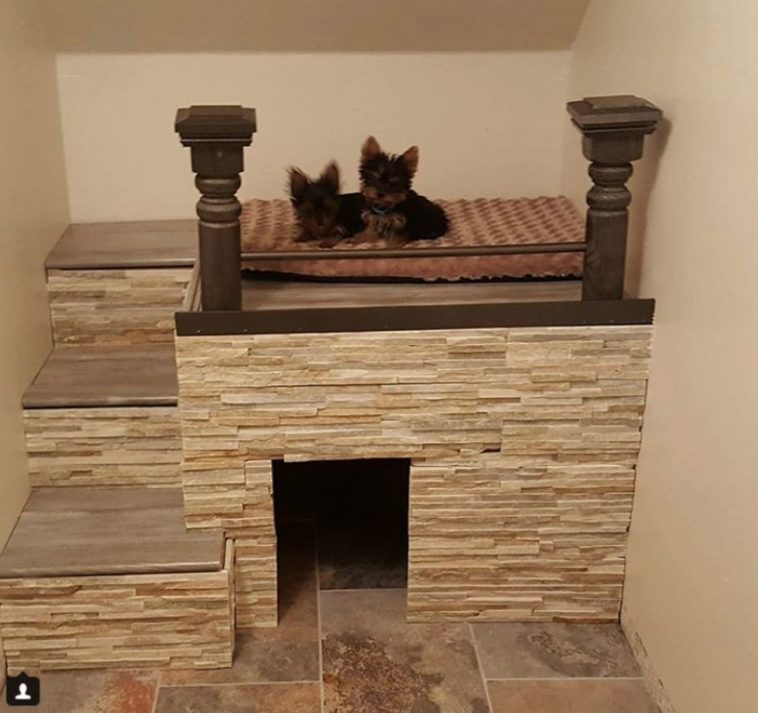 dog room with small door and stairs and a mattress on top