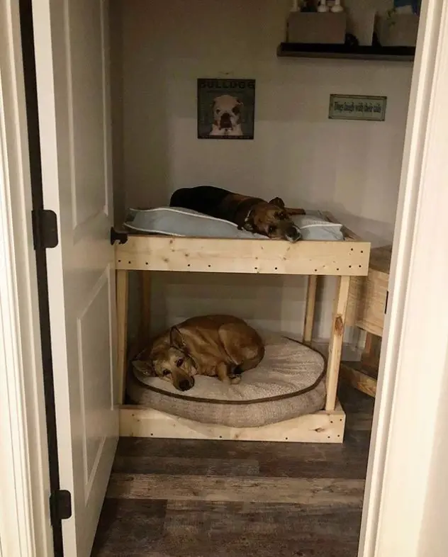 wooden double dog bed