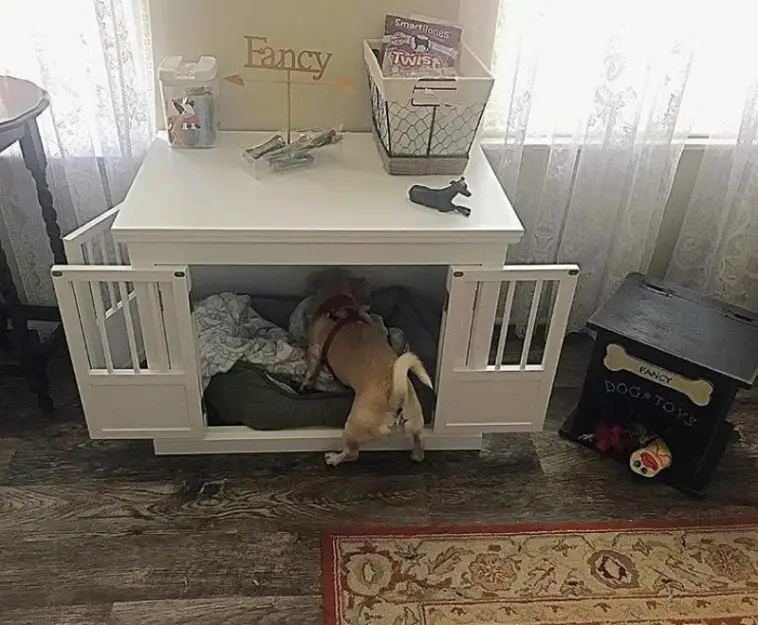furniture dog room idea