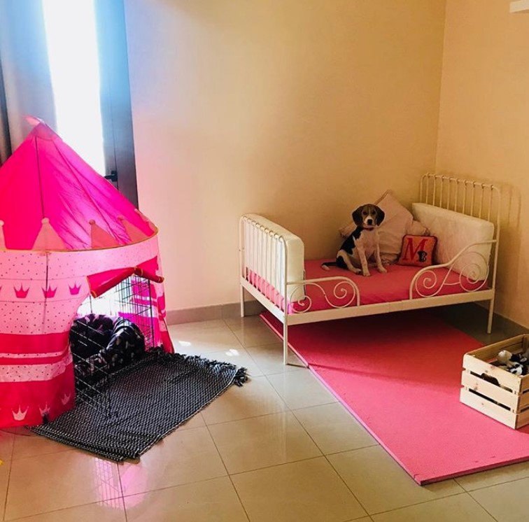 pink princess dog bedroom
