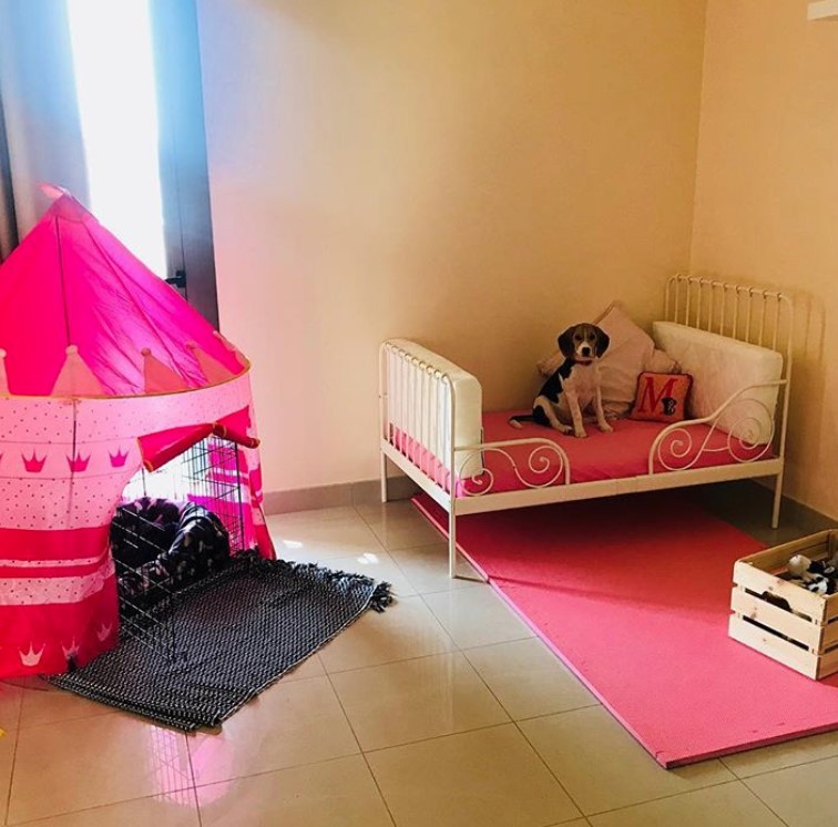 pink princess dog bedroom