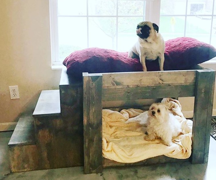 elevated dog bed for two dogs