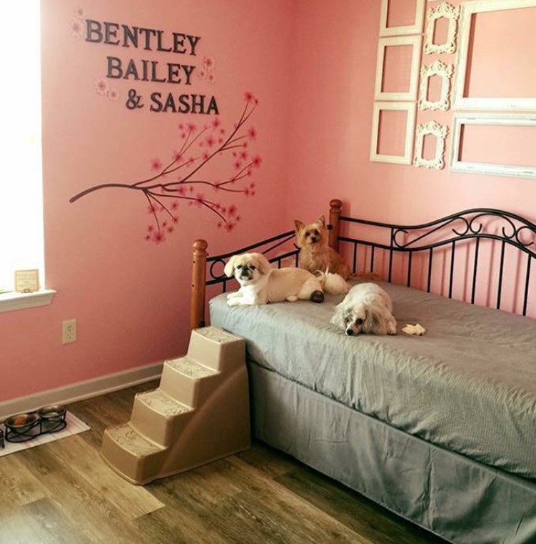 three dog lying on a big elevated bed with stairs in a pink room