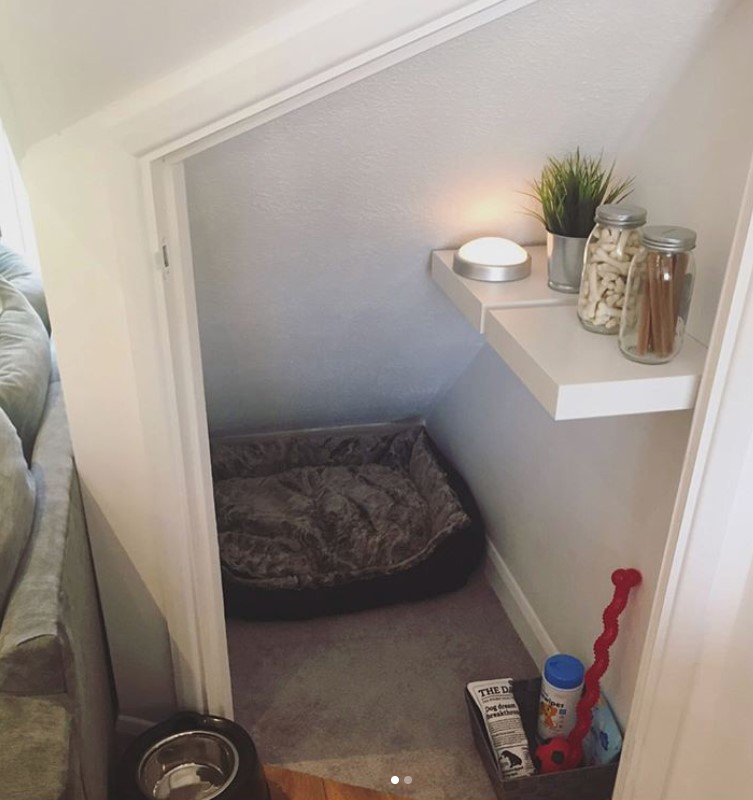 mini dog room