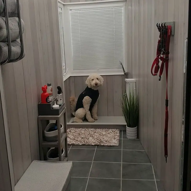 dog sitting inside its mini dog room