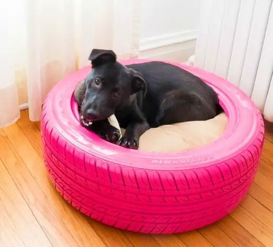 pink tire dog bed