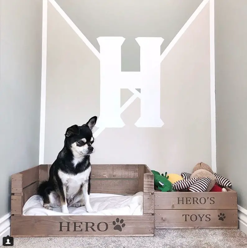 dog room with pallet bed