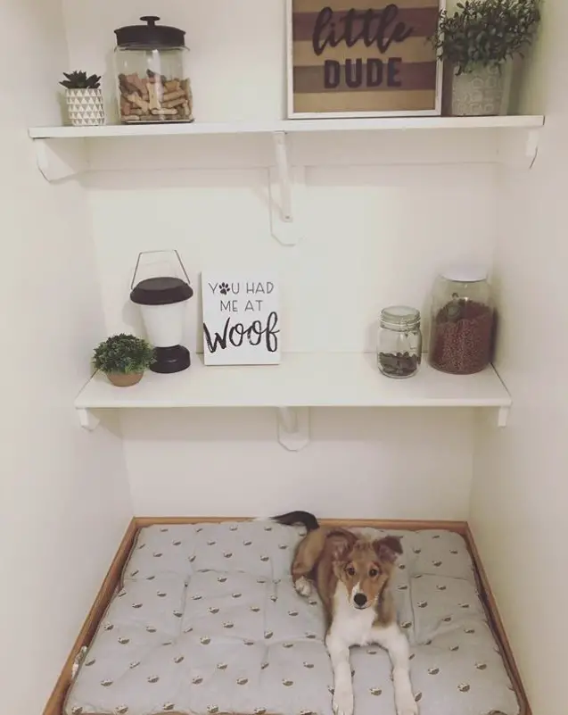 dog lying on top of its mattress with built in wall shelves